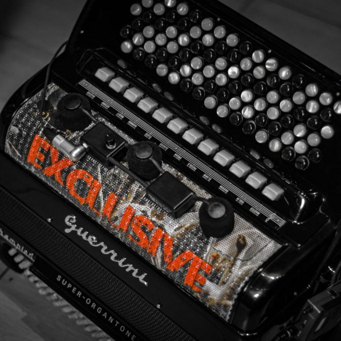 exclusive band - harmonika